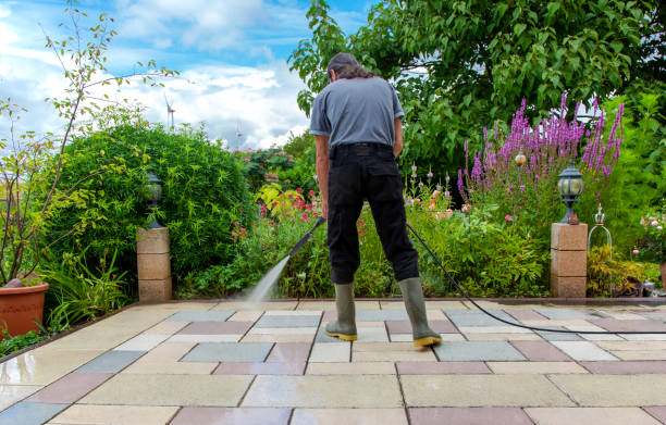Best Driveway Pressure Washing  in Nyon Lake, CA