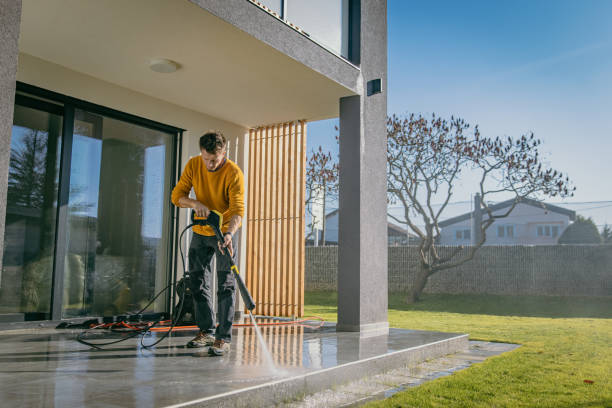 Best Residential House Exterior Washing  in Nyon Lake, CA