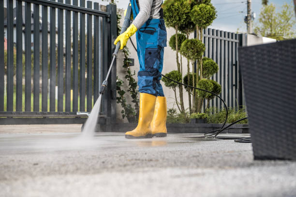 Best Building Exterior Washing  in Nyon Lake, CA