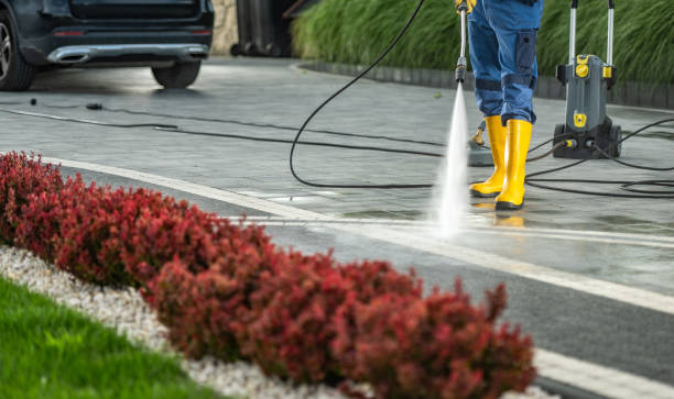 Best Pool Deck Cleaning  in Nyon Lake, CA